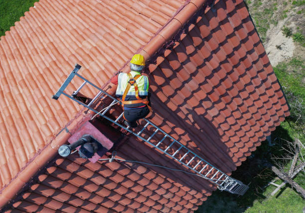 Best Asphalt Shingles Roofing  in Willow Oak, FL