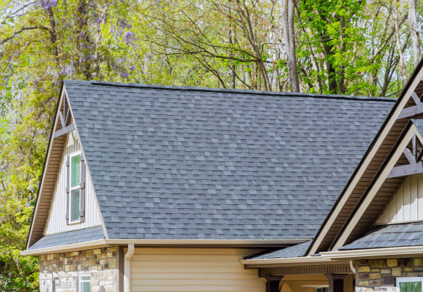 Fast & Reliable Emergency Roof Repairs in Willow Oak, FL