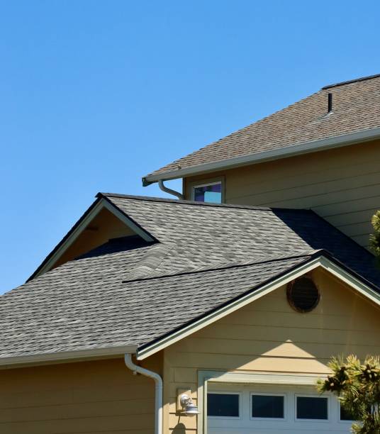 Best Roof Coating Services  in Willow Oak, FL
